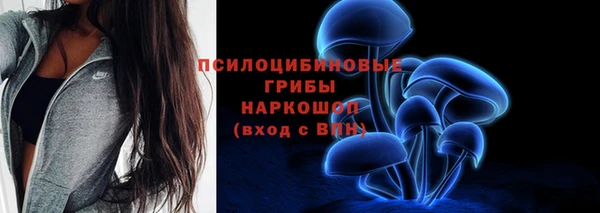 PSILOCYBIN Нефтекумск