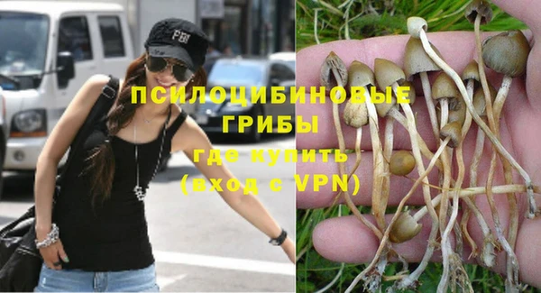PSILOCYBIN Нефтекумск