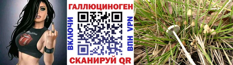 Псилоцибиновые грибы мухоморы  наркошоп  Когалым 