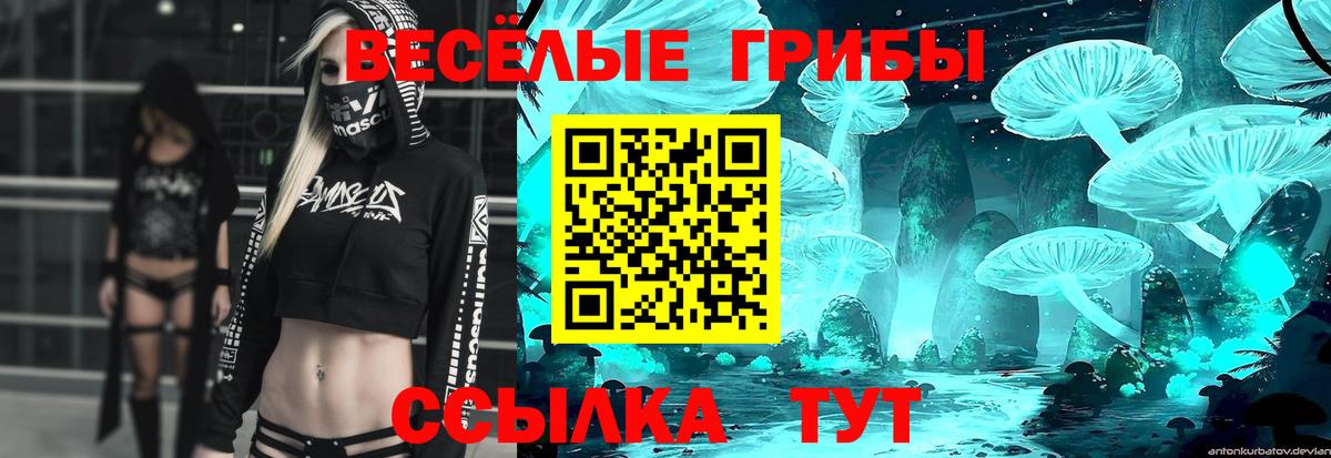 Псилоцибиновые грибы мухоморы Когалым