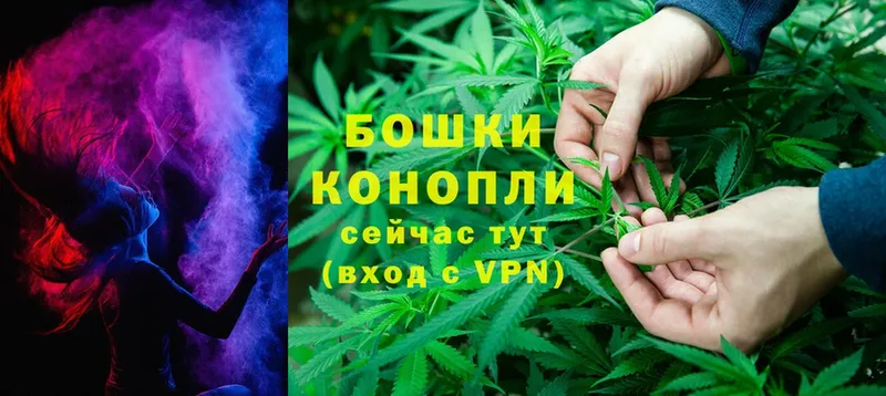 Шишки марихуана White Widow  как найти   Когалым 